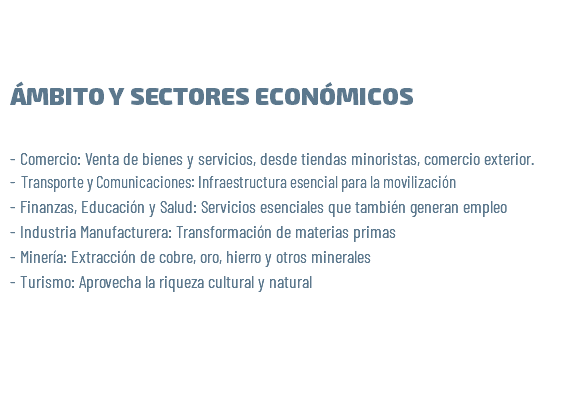 &nbsp;ÁMBITO Y SECTORES ECONÓMICOS - Comercio: Venta de bienes y servicios, desde tiendas minoristas, comercio exterior. - Transporte y Comunicaciones: Infraestructura esencial para la movilización - Finanzas, Educación y Salud: Servicios esenciales que también generan empleo - Industria Manufacturera: Transformación de materias primas - Minería: Extracción de cobre, oro, hierro y otros minerales - Turismo: Aprovecha la riqueza cultural y natural